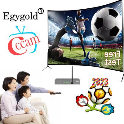 China Egygold Cccam Europe 4K Cccam 7 Lines Egygold DVB S2 Oscam Poland Cable Suitable For Spain Germany Poland TV Receiver Free Trial Egygold.net for sale