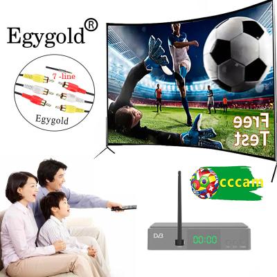 China Egygold Stable Europe Canal+ Poland TVP 4K Cccam 7 Lines Egygold Cccam Oscam For Spain Germany Poland Free Trial Egygold.net for sale