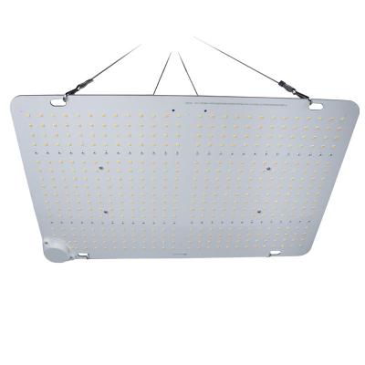 China 1000w grow light full spectrum indoor plant grow lights for indoor plants hydroponic plant 600 watt grow light for sale