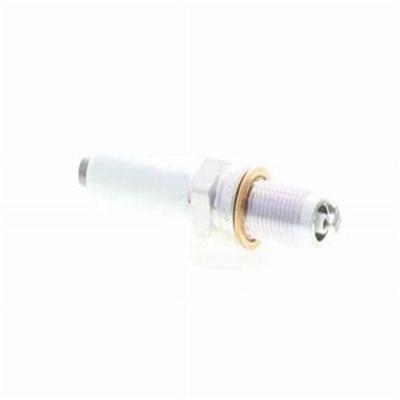 China High Quality Spark Plug Gasoline Generator Spare Part Accessories Gasoline Generator Spark Plug OE 04E 905 601 B For VW for sale