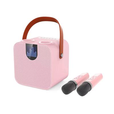 China AirPlay SDRD Pink Ce Bt Home commerical Ktv Portable Microphone Audio Wireless Karaoke Speaker for sale