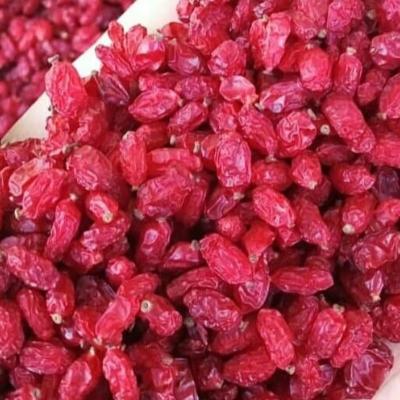 China Pure Natural Barberry Dried Barberry Bulk High Quality Barberry - Zereshk For Sale for sale