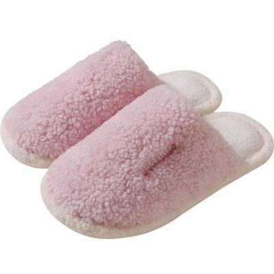 China Professional Manufacturing New Technology Sweat-absorbent Slippers Winter Shoes Home Wear Slippers Manufacturers For Women Home for sale