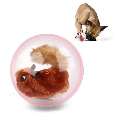 China New Arrival Viable Mouse Ball Dog Toy Manufacturer Wholesale Custom Small Products Pet Fun Interactive Cat Toy Ball for sale