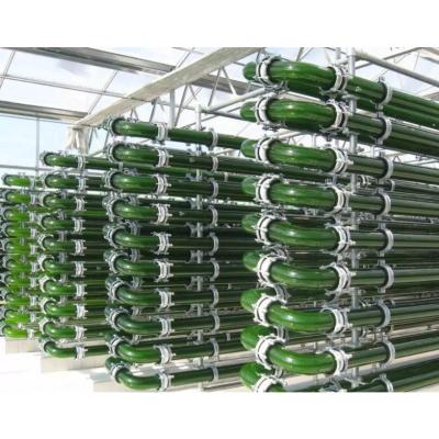 China Plant Haematococcus Pluvialis Algae Main Photoreactor for sale