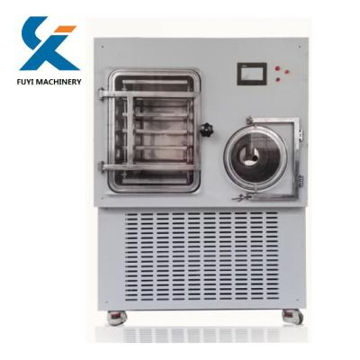 China 10Kg Food Processing Batch Vacuum Freeze Machine Fruit Drier For Sale for sale