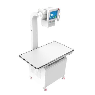 China High Frequency X-ray Room D20DR Medical Imaging Equipment DR System Digital X Ray Machine For Veterinarian In Stock for sale