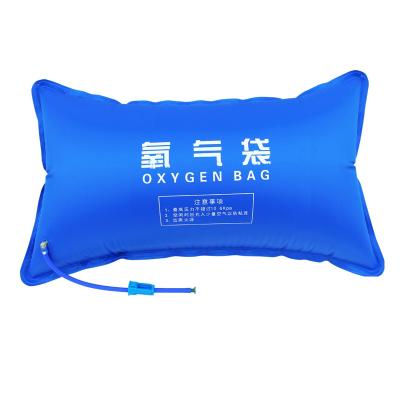 China Bestselling Medical Hospital PVC Gas Pillow Oxygen Pillow Oxygen Tank Backpack Home Reusable Portable Bag for sale