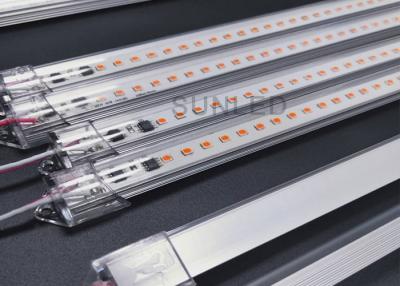 中国 庭園 防水 LED 成長灯 AC220v 商業用 LED 成長灯 販売のため