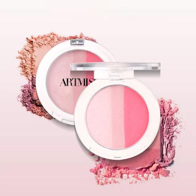 China Waterproof Makeup Shimmer Simple Hot Selling Beauty Packaging Blush Palette for sale