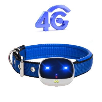 China New Dog Collar GPS Tracker Pet 4G GPS Track Dog Collar Pet GPS Tracker With Free APP Google Map for sale