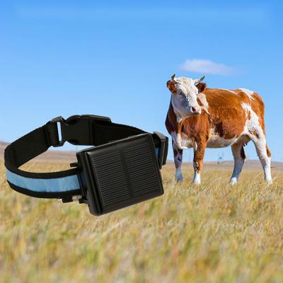 China Real Time GPS Navigation V26 Cattle Tracking Solar Powered Horse Cow GPS Tracker For Animals for sale