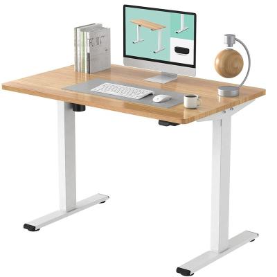 China 2022 Double Motor Glass Gaming Computer PC Electric Standing Height Adjustable Standing Desk Adjustable Desks (Height) for sale