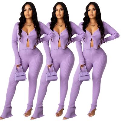 China Wholesale Custom 2020 QUICK DRY Custom Logo Long Sleeve Purple Two Pieces Set Plus Size Women Clothing 2 Piece Sets for sale