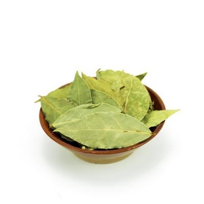 China Dry Spices High Quality Natural Bay Leaf Dried Myrcia For Food Making Dishes Condiments for sale