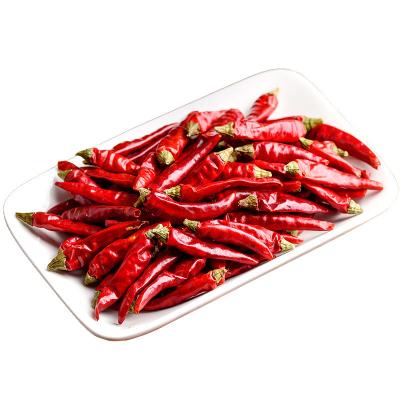 China Chili For Food Seasoning Premium Sichuan Organic Dry Red Pepper And Natural Dry Spicy Dry for sale