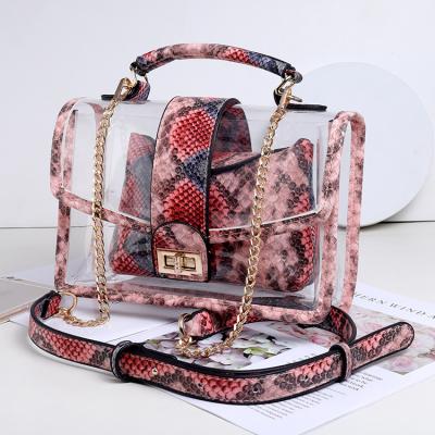 China Fashoion Hot Sale Combination Jelly Lady Bags Snake Print Sling Shoulder Cross - Clear Body Bags Women Handbags for sale