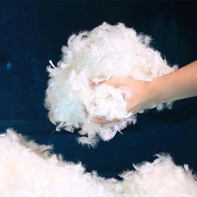 China Chinese manufacturer wholesale white goose down stocking stuffing white goose feather 2-4 cm for sale