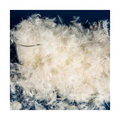 China High Filling Power Quilt Inner Filling Quality Duck Down Feather Good 40% On Sale for sale