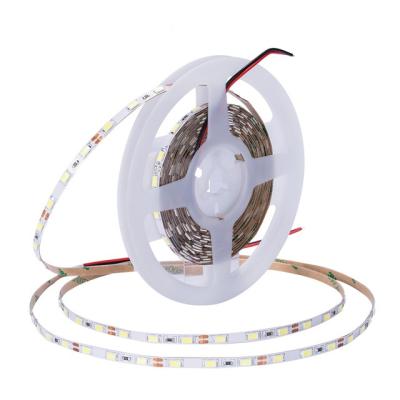 China High Quality Dc12v 24v 72w Hotel Best Price Smd5050 60leds Per Meter RGB Led Strip Light for sale