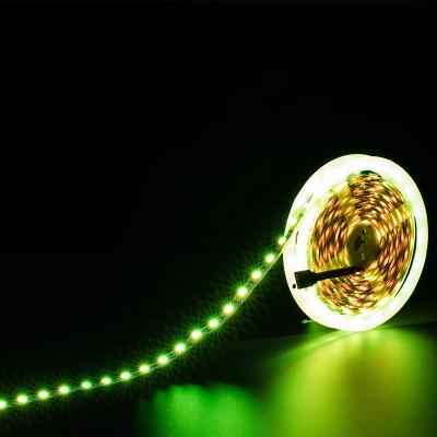 China Hotel 144leds/m Apa102 Full Color Affordable Led Flexible Strip Light Dc5v Led Strip for sale