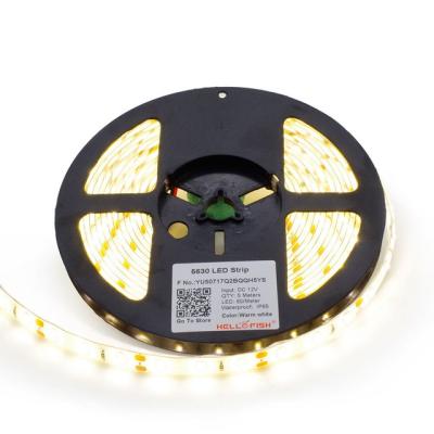 China Hotel Digital Accessible Sk6812ic Full Color Smd5050 60 120 LED Strip Light Waterproof Led Flexible Strip for sale