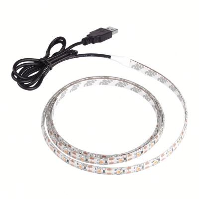 China Hotel 5v Usb Led Strip 5050 RGB 200cmIp65 TV Background Lighting Flexible Light Waterproof Strip With 10key RF RGB Remote Controller for sale