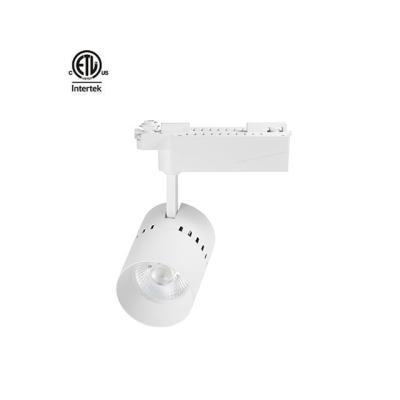 China Ra90 ETL Daytonled Series Halo Modern Strong Type cETL Compatible North America 50w 30w Led Track Light for sale