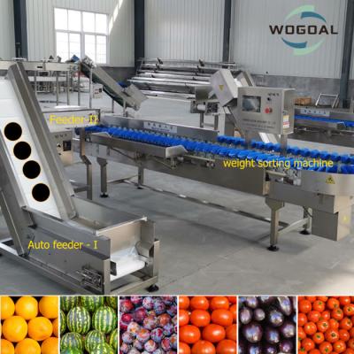 China Famous Accessories Seafood Processing Automatic Wash 6 Grades Shrimp Double Sorter for sale