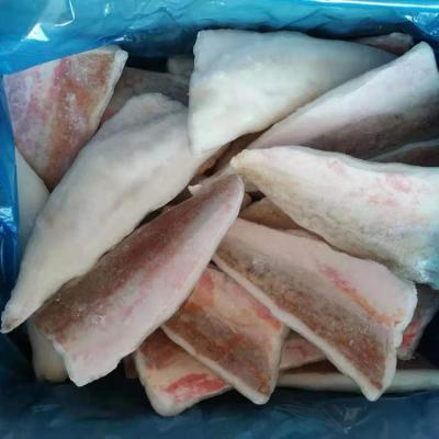 China FROZEN Seafood IQF Professional Delicious Frozen Red Gurnard Bandeau Fish Fillets Wholesale for sale