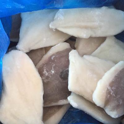 China Hot Selling Frozen Dory Net IQF John Dory Fish Fillet China Origin JELLY John for sale