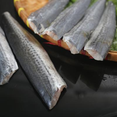 China FROZEN FROZEN Spanish mackerel fillet of fish mackerel fish prices Spanish mackerel fish for sale