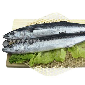 China China origin hot sale jelly of scomberomorus niphonius jelly from cheap price spanish mackerel WR for sale