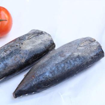 China Cheap Price 100-200g A Grade Quality FROZEN Hot Selling Frozen Bonito HGT Auxis Thazard HGT for sale