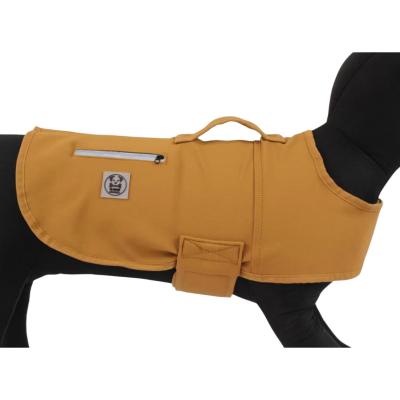 China Windproof and viable suitable for dogs in all seasons for sale