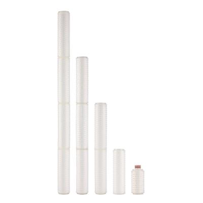 China PP 10 inch 20 inch 30 inch 40 inch 0.22 um Pes Pleated Filter Cartridge for Final Filtration in Pharmaceutics for sale