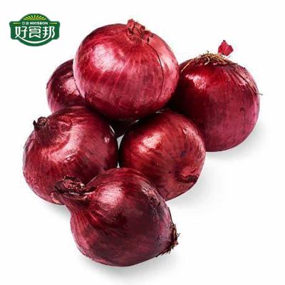 China Wholesale red onion red onion importers fresh vegetable fresh onion with good price for sale