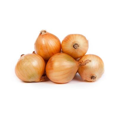 China Hot Sale Chinese Wholesale Fresh Yellow Onion With Market Price for sale