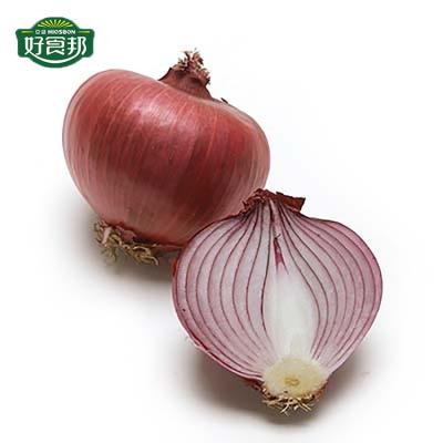 China Fresh Grade Onions Red Onions Fresh Sale Export for sale