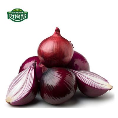 China Fresh Red Onion Fresh Onion Wholesale Exporter Manufacturers Buyers for sale