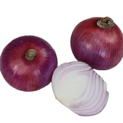 China Fresh fresh red onions with high quality for sale