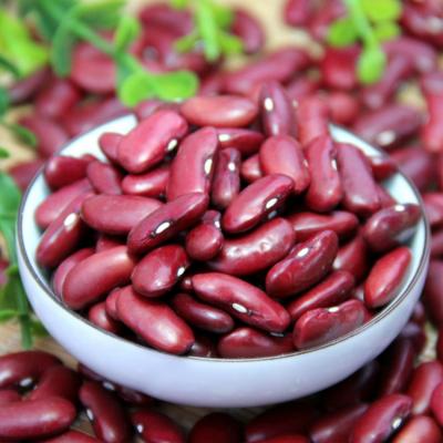 China Dried red kidney beans dried style export high quality red kidney beans for sale