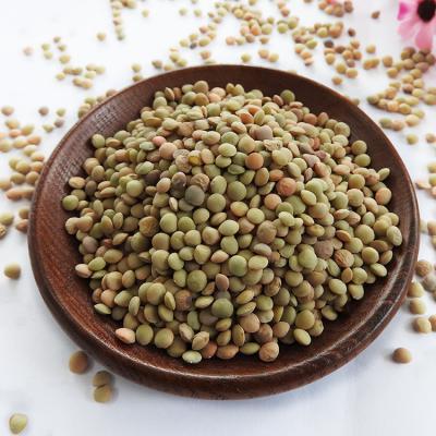 China Good quality dry green lentil lentils export for sale