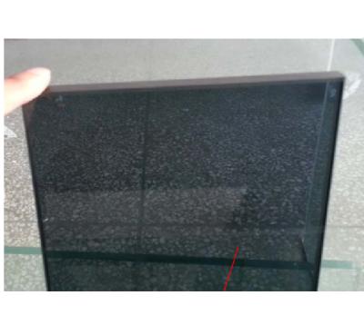 China Glass Pool Fencing Glass Euro Gray Tinted Tempered Laminated Glass From China Factory For Balustrade for sale