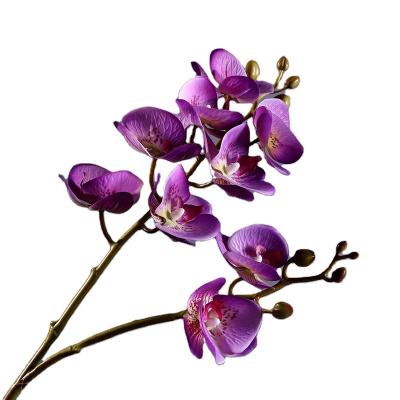 China Real touch Phalaenopsis plant artificial fabric flowers artificial phalaenopsis plastic flower branches decoration for sale