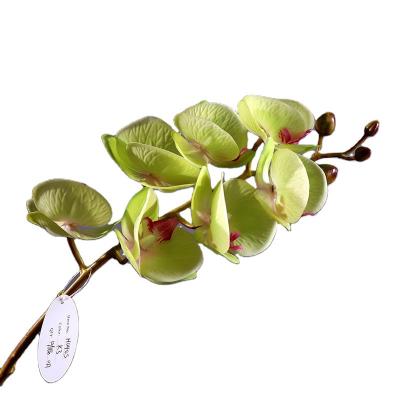 China Real touch phalaenopsis real touch flowers artificial flowers realistic plastic fabric petals for sale for sale