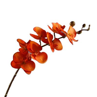 China Orchid Phalaenopsis Flowers Handwork Salon Real Touch Artificial Flowers Real Touch Popular Decorative Plant for sale