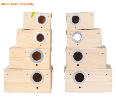 China Fashionable Sustainable Design Large Size Natural Wooden Bird Bird Breeding Box Plant Box For Cockatiels Parrot for sale