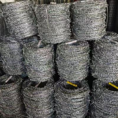 China Woven SS Wire Mesh Screen Stainless Steel Netting For Industrial Filtering for sale