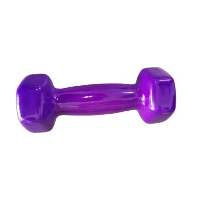 China Universal Customized Color Wholesale Customized Vinyl Coated Neoprene Dumbbell for sale